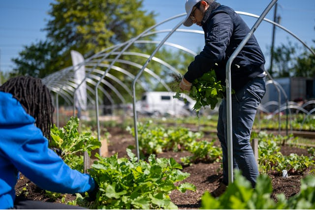 Community-Led Farming: How DAOs Are Powering the Regenerative Agriculture Movement