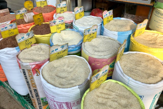 Corn Futures: 6-Month Market Outlook