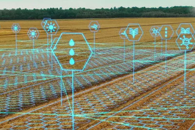 DAO Governance for Farmers: How Decentralized Decision-Making Is Reshaping Agriculture