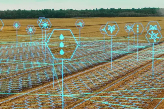 DAO-Governance voor Boeren: Hoe Gedecentraliseerde Besluitvorming de Landbouw Hervormt