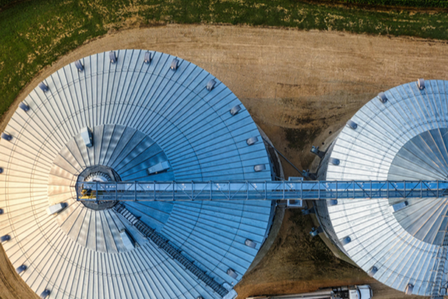 Decentralized Agriculture: How DAOs Are Reshaping Global Food Systems