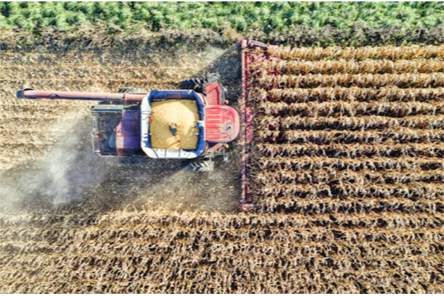 Key Trends Shaping Global Agriculture in 2026: Resilience, AI, and the New Food Economy