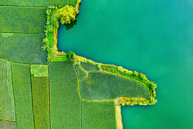 Farm Intelligence from Space: A Practical Guide to Sentinel-2 and Cloud Analytics