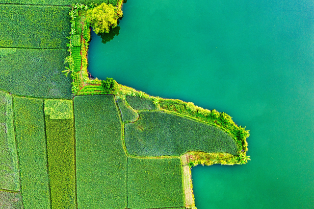 Farm Intelligence from Space: A Practical Guide to Sentinel-2 and Cloud Analytics